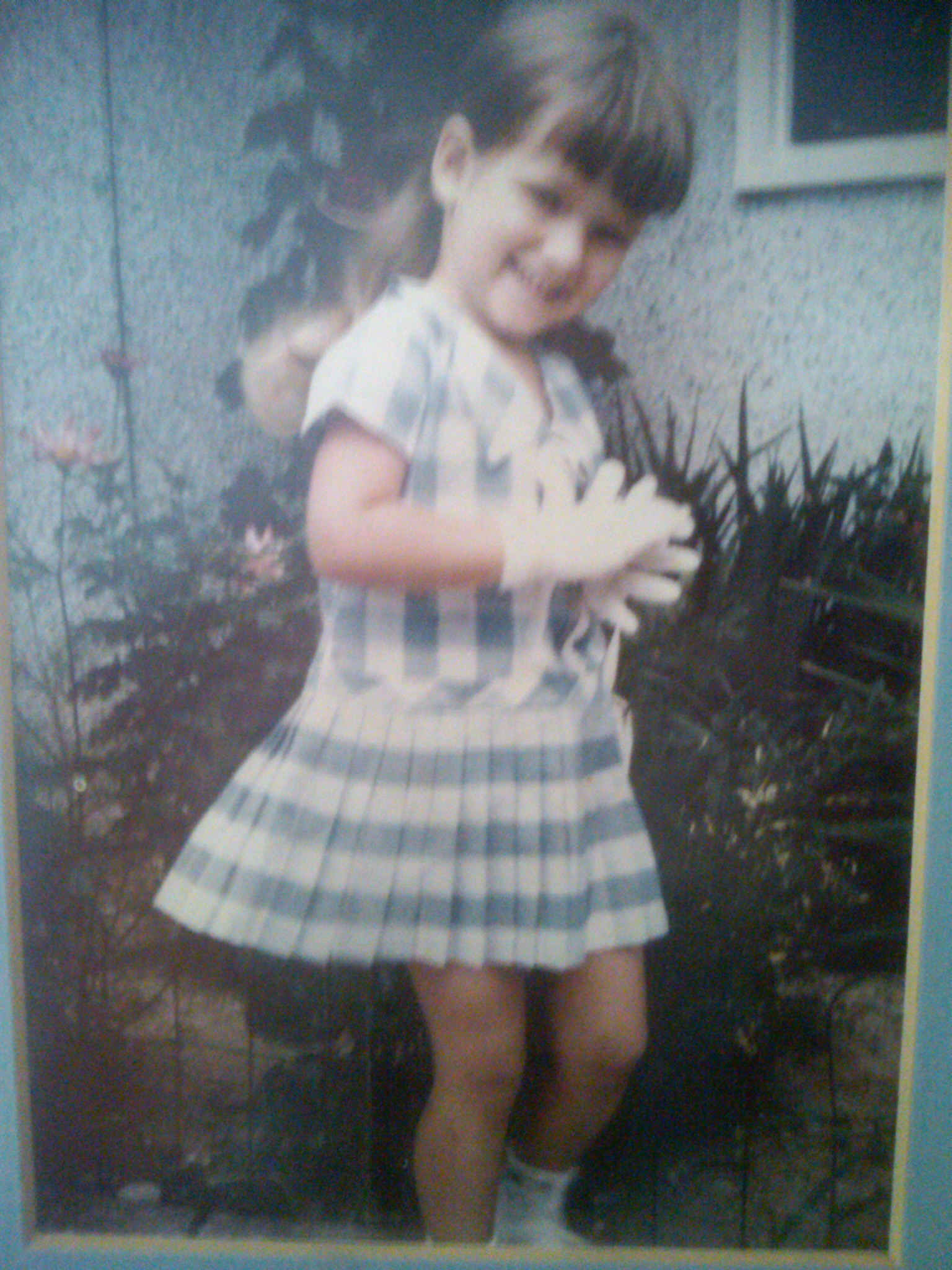 What did I dream about?